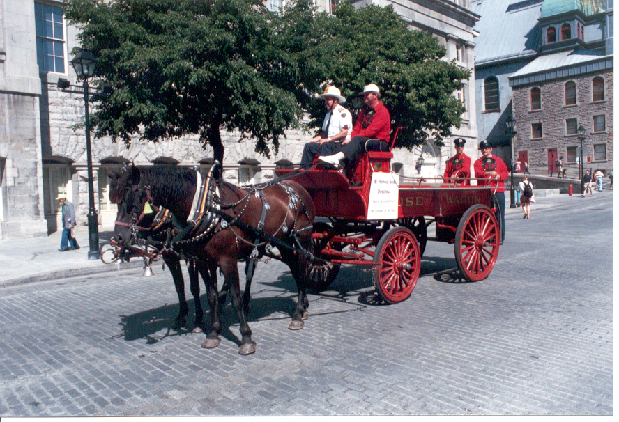 19th Century Horse Drawn Hose Wagon